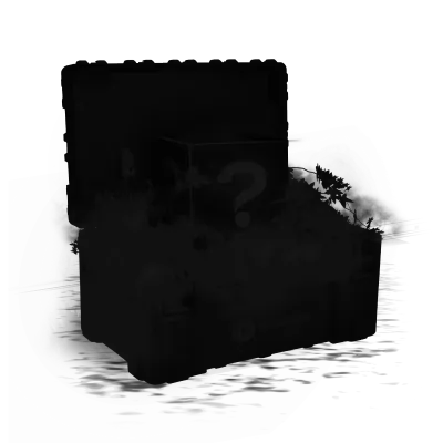 case-preview